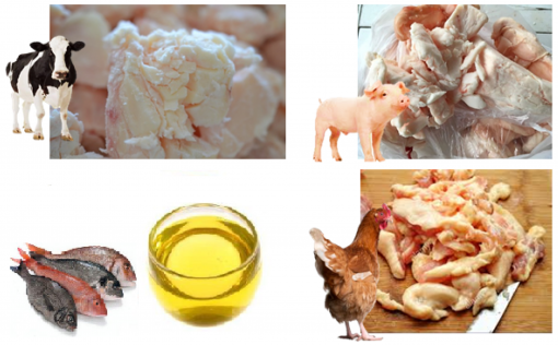 Waste Animal Fat